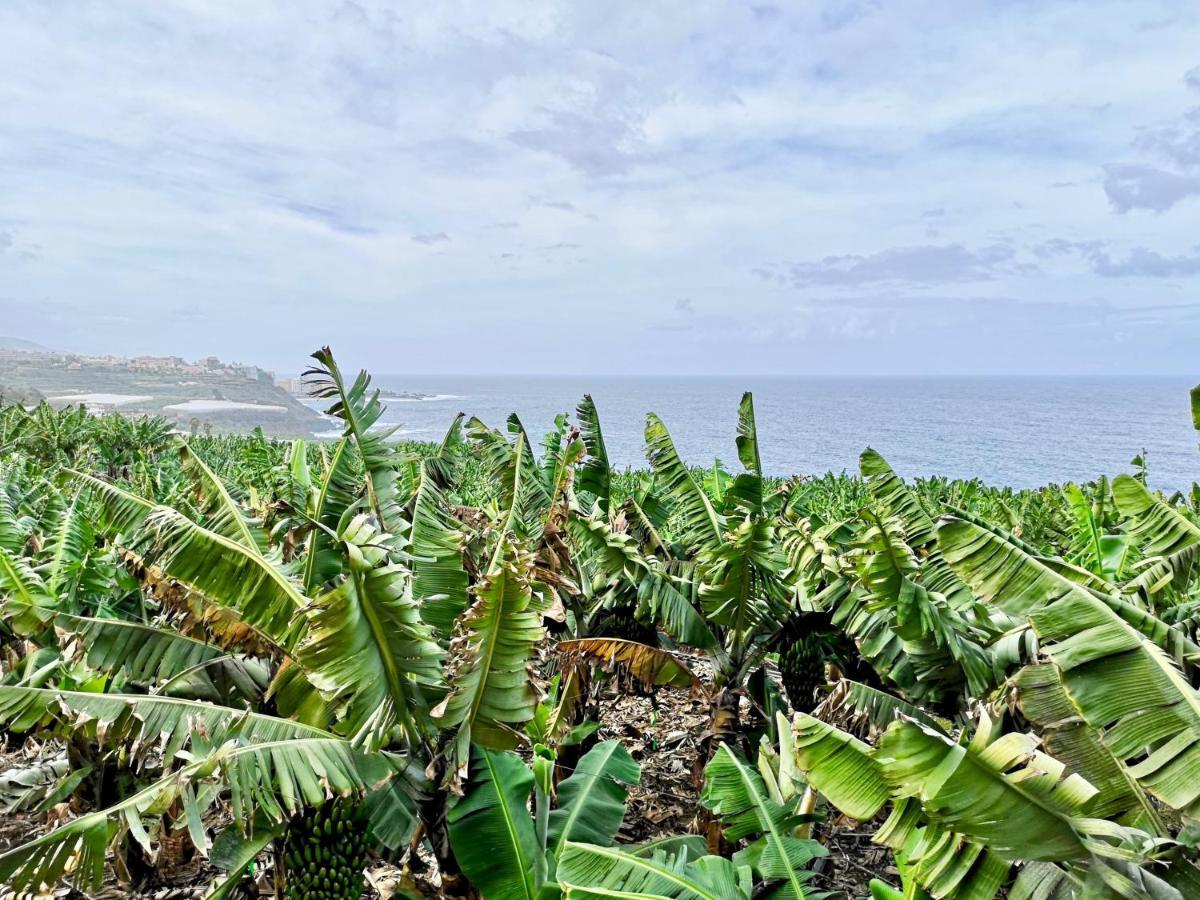 Banana Paradise 라오로타바 외부 사진